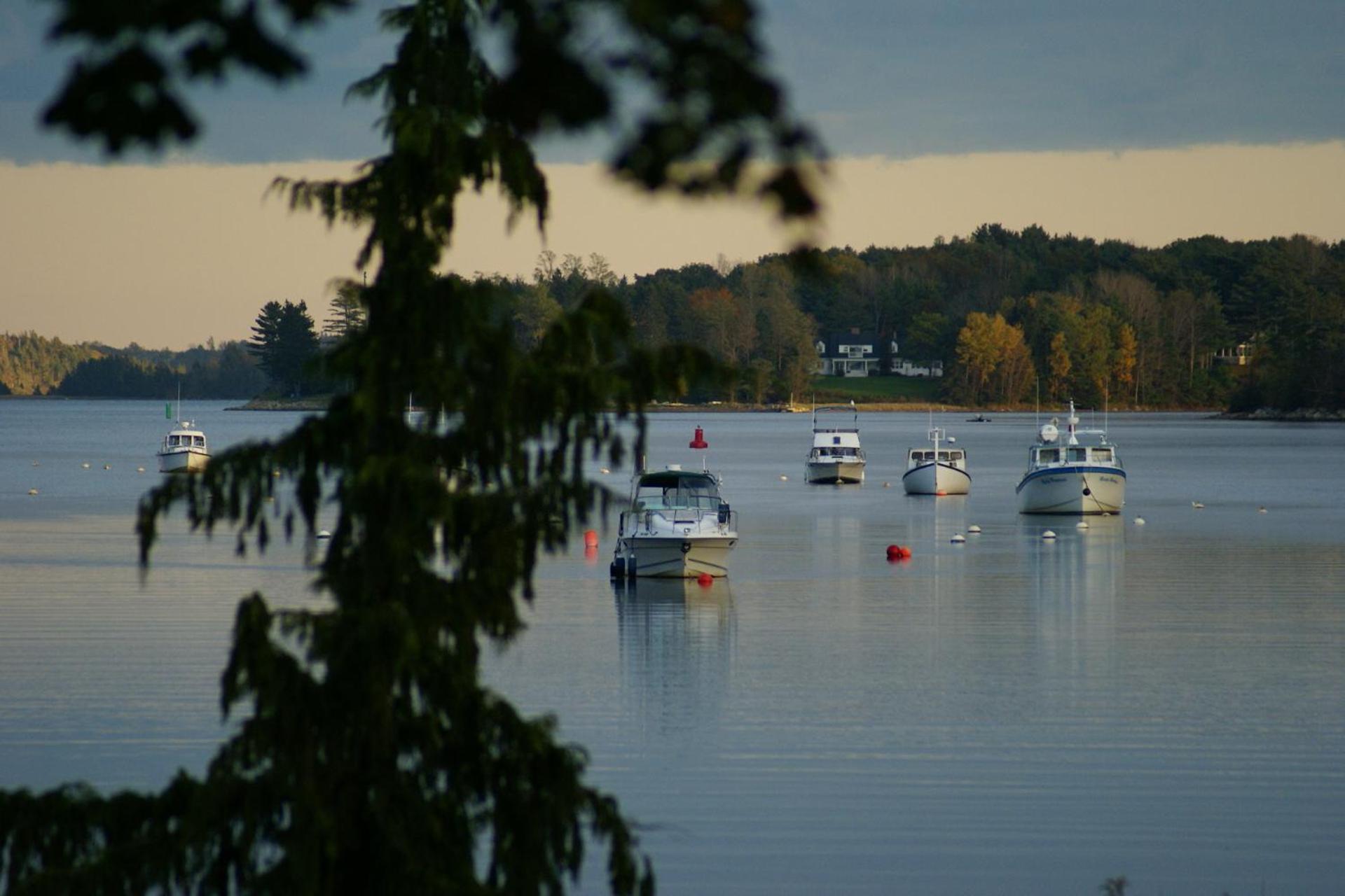 Fisherman'S Daughter B&B Mahone Bay Bagian luar foto